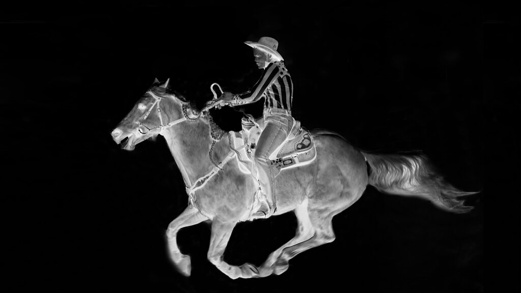 1Z6A7219bwwhitenega.jpg